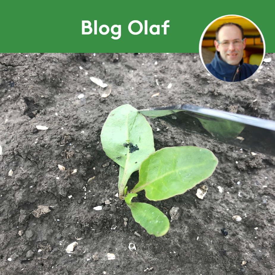 Feature Picture - Olaf #terugindetijd